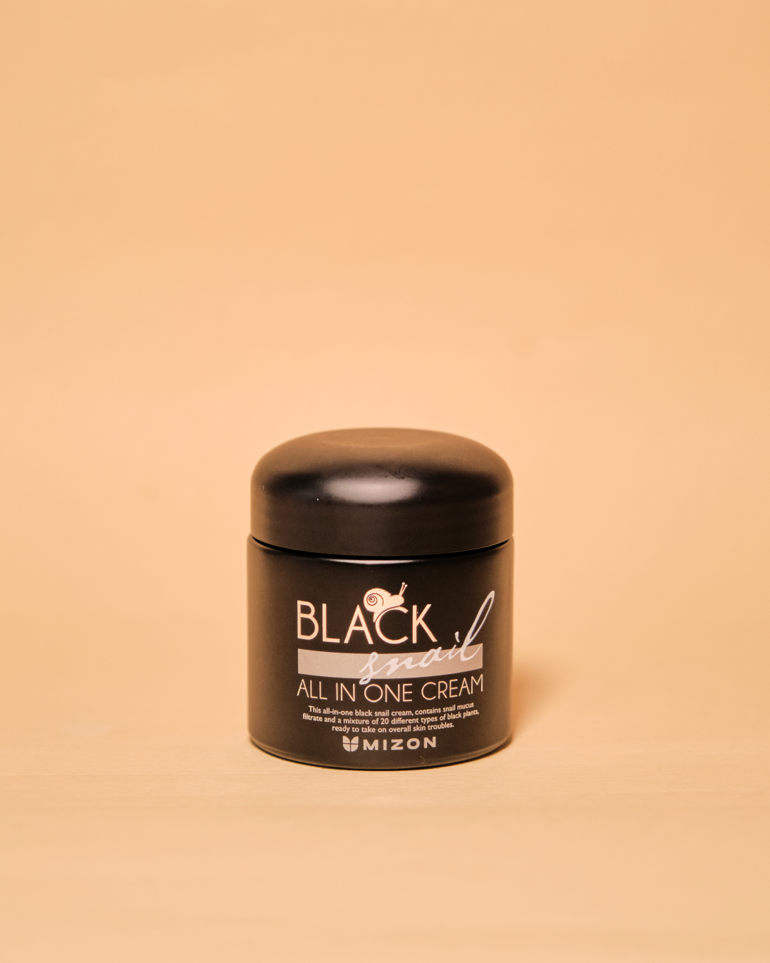 MIZON Black Snail All In One Cream